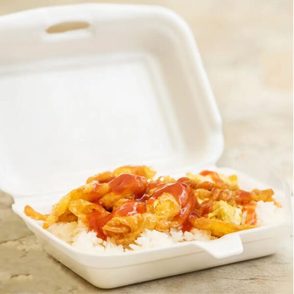 Foam Take-Away Box White 216x129x59mm