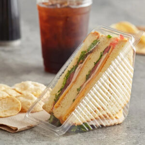 Plastic Clear Sandwich Wedge 2 Slice