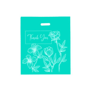 Boutique HD Turquoise Thank You Bags – Premium Retail Packaging