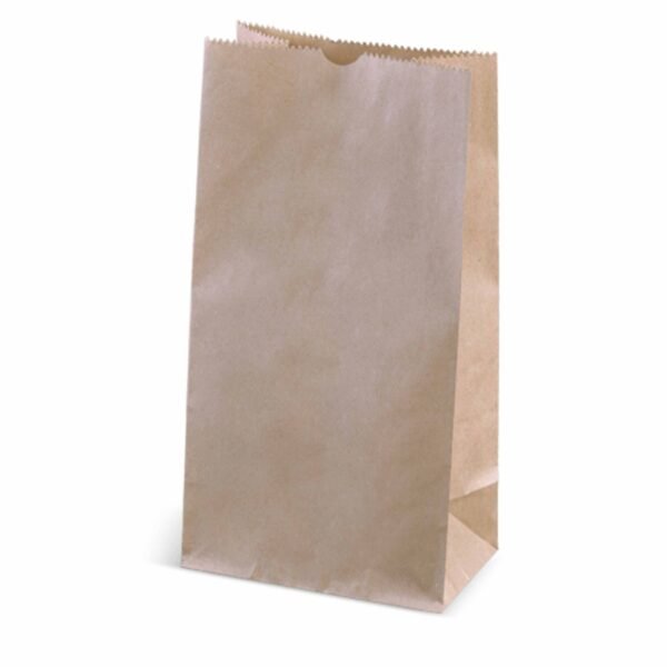 Brown Paper Bag Size 20 (210+110x395mm) – Strong & Eco-Friendly Kraft Bags