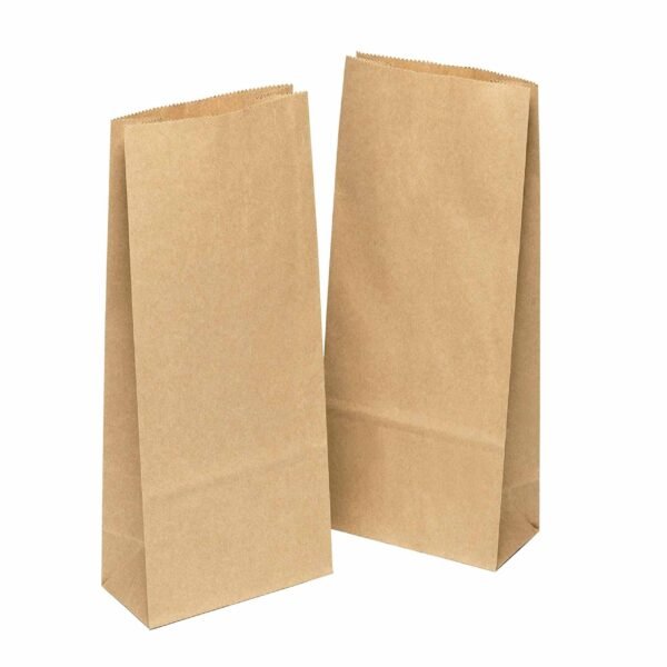 Brown Paper Bag Size 25 (210+130×445mm) – Strong & Eco-Friendly Packaging
