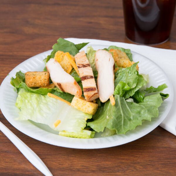 Polystyrene White Plates – 10 Pack | Durable & Disposable